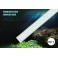 Tubo LED sumergible T4