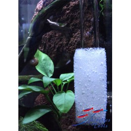 Esponja protectora