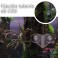 Soporte separador transparente Pack 2 unids.