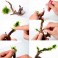 Adhesivo Aquascaping 