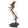 SMALL TREE
