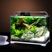 Pantalla LED Slim