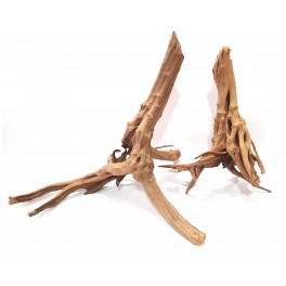 WOOD STUMP