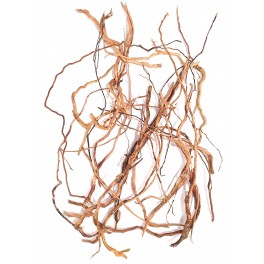 Ramas Mix 500g