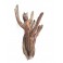 DRIFT WOOD