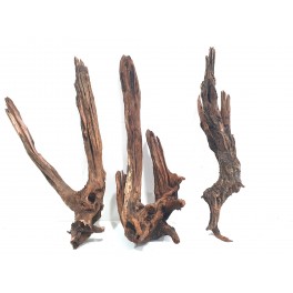DRIFT WOOD