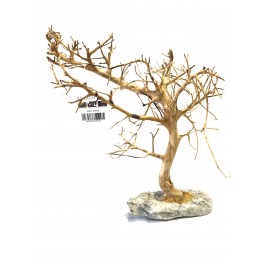SMALL TREE COMPACT