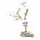 SMALL TREE COMPACT