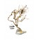 SMALL TREE COMPACT