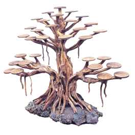 Bonsai Rasamala