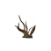 NATURAL ROOT + STONE 10-15cm
